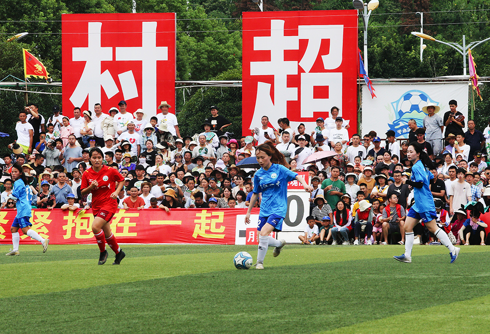 须深思熟虑 须深思熟虑