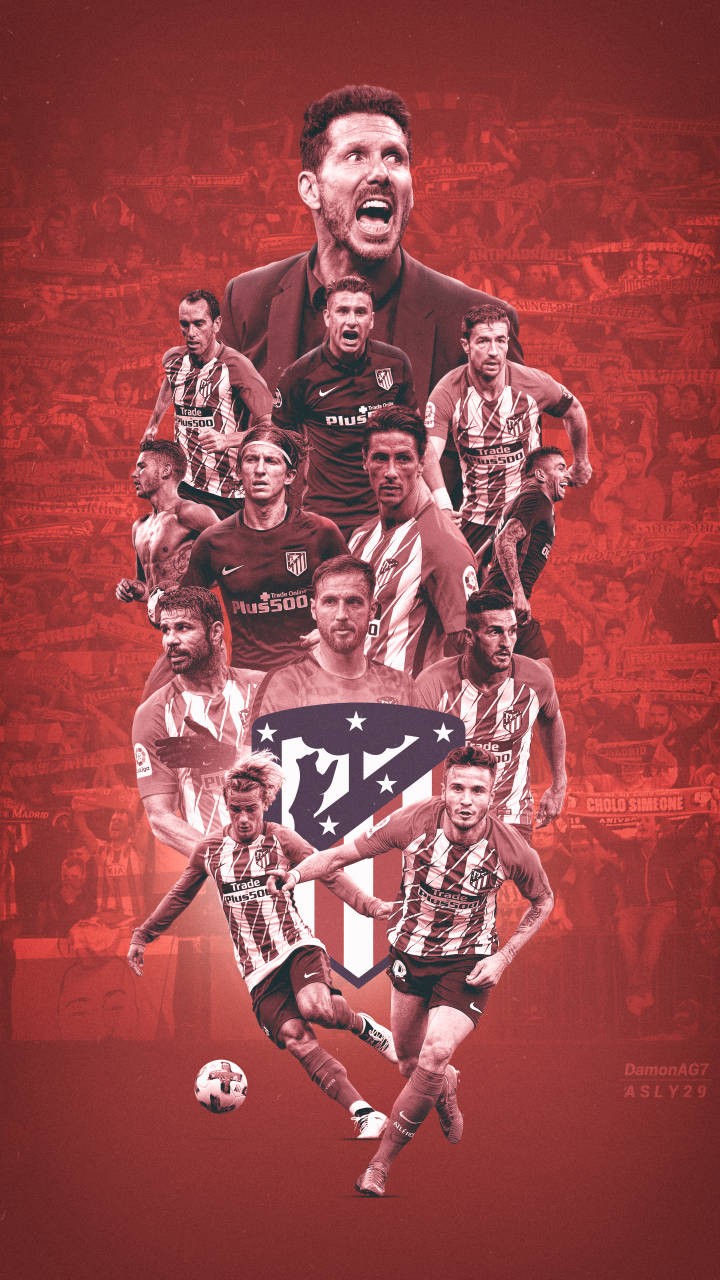 留出验证窗 留出验证窗